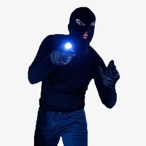 蓝色灯光拿着手电的贼人