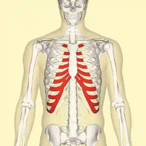 胸部疼痛是什么原因引起胸痛常见的12种病因