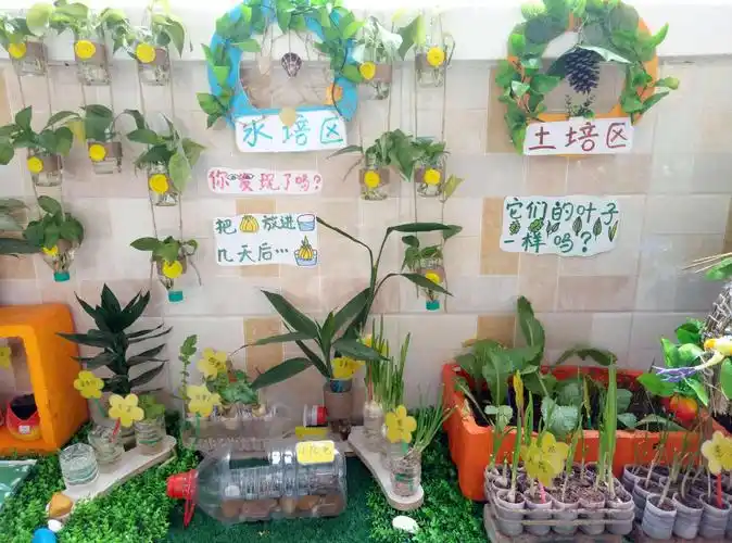 芬芳与我共成长,你的变化我知道信丰县水东幼儿园植物角札记