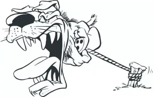 【疾病防控】致死率近100%,这个病在宁波又出现一例!该怎么防?