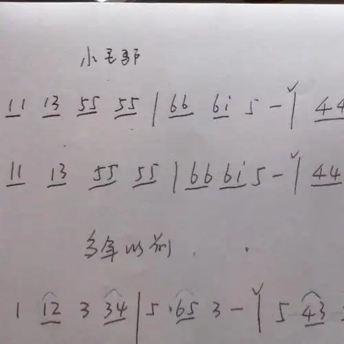 亮亮陶笛音乐 《小毛驴》