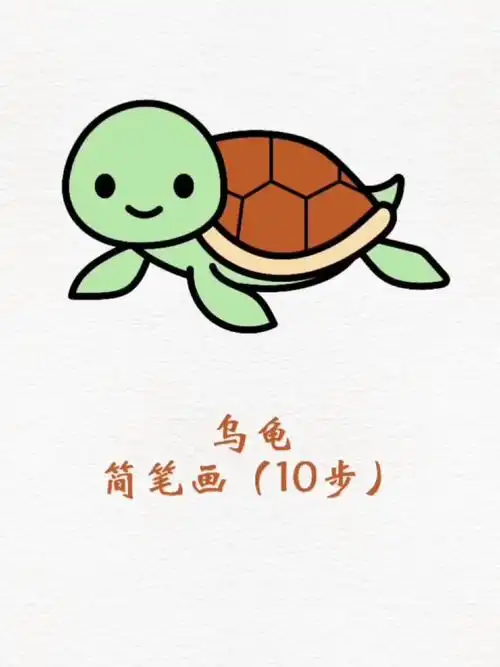 乌龟简笔画小乌龟儿童画小动物创意画