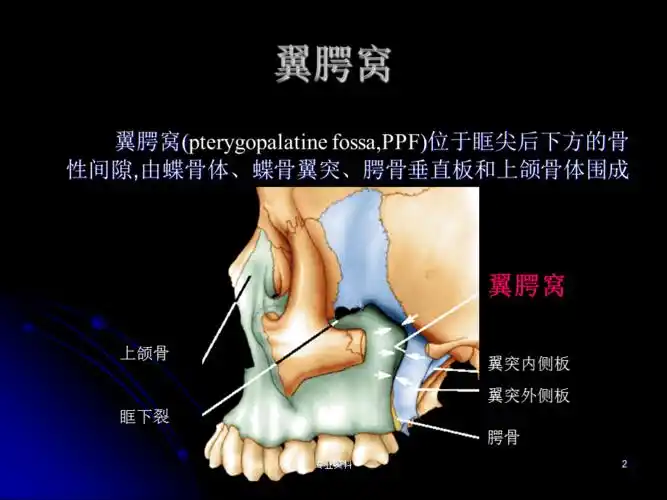翼腭窝的解剖与影像识别专家指导
