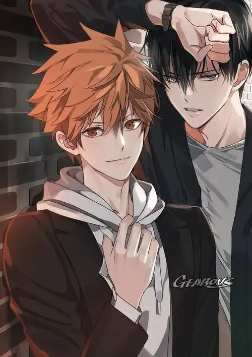 《排球少年》《冰雪奇缘》《普罗米亚》《火箭队 武藏&小次郎》《钢炼