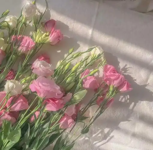 鲜花朋友圈背景图系列三