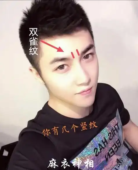 双雀纹:是典型的善纹.有此纹路的朋友,脑组织发达,事业心十 - 抖音