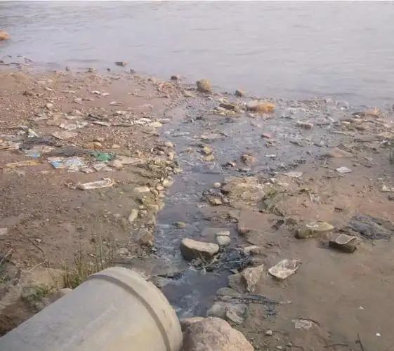 破坏生态环境要负什么责任民法典告诉你