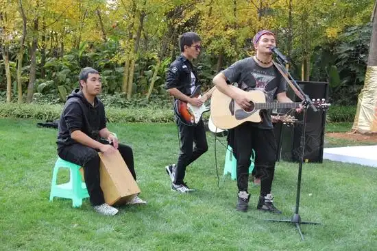 草坪音乐现场演绎