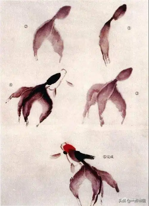 图文教程——写意金鱼技法_画法