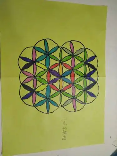 1706轴对称图形作品展 - 美篇