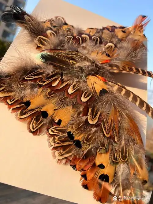 三下对称图形粘贴画春天蝴蝶手工diy