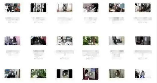 剃女生后脑拍下卖视频武汉女生理发遭遇新型偷拍灰产