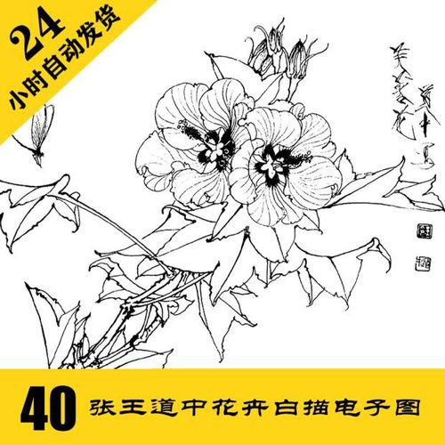 g027 王道中花卉白描 工笔线稿40张 花鸟线描国画 24小时自动发货