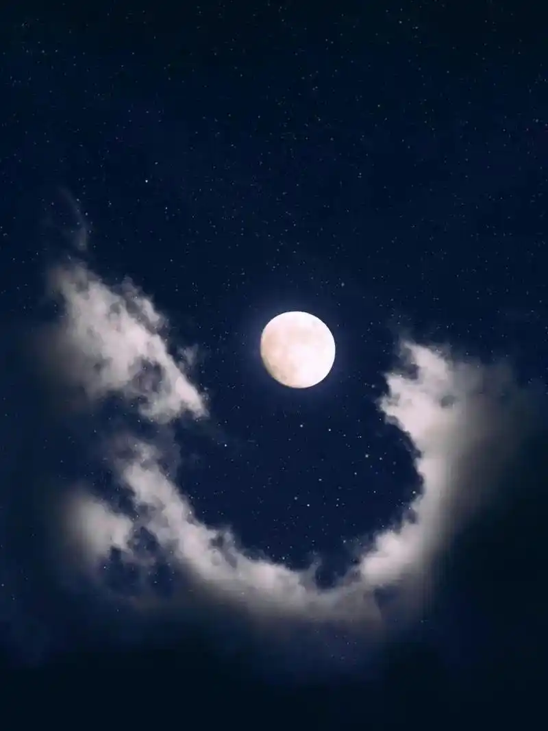 手机壁纸|手机背景图|月亮96  我正在看月亮,你也看月亮,这样,我们