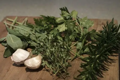 fresh herbs from the garden with garlic