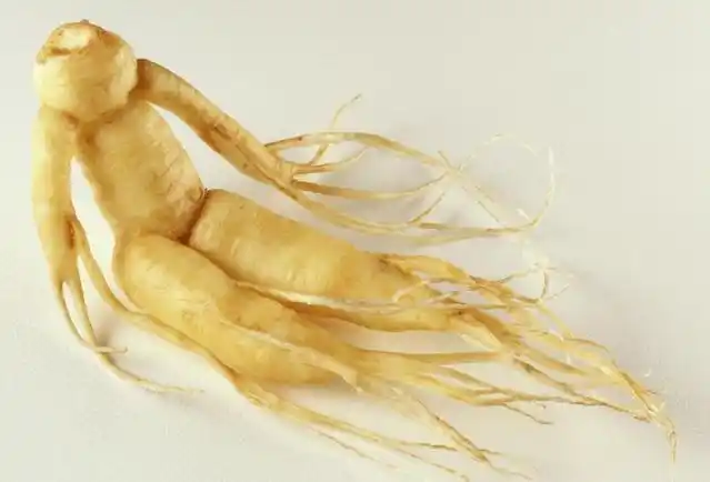 此物我们生活中很常见,可一旦长够千年,便成了神药_梅氏_老头_人参