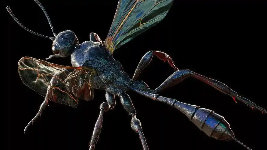 姬蜂是作品中的"重要角色"参与制作《微观巨兽》的团队有50-60名in