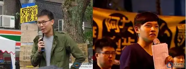 民调:林飞凡选"立委" 不支持率过半