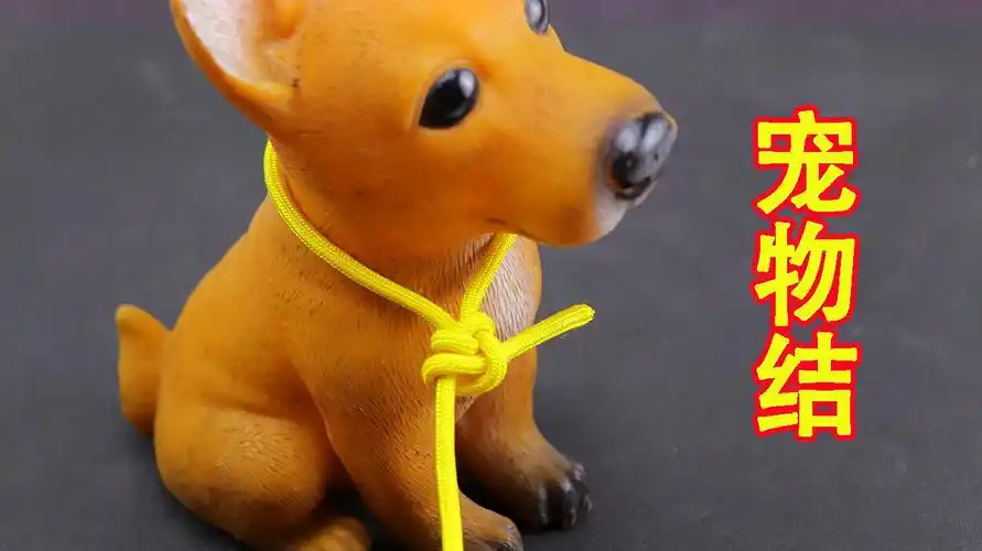 日常生活能用到的几种编绳,学起来