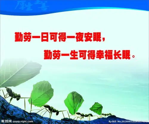 勤劳图片