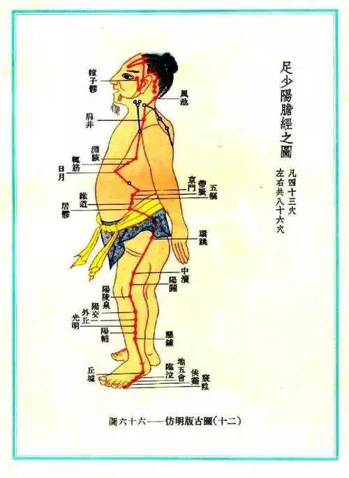 足少阳胆经循行路线图