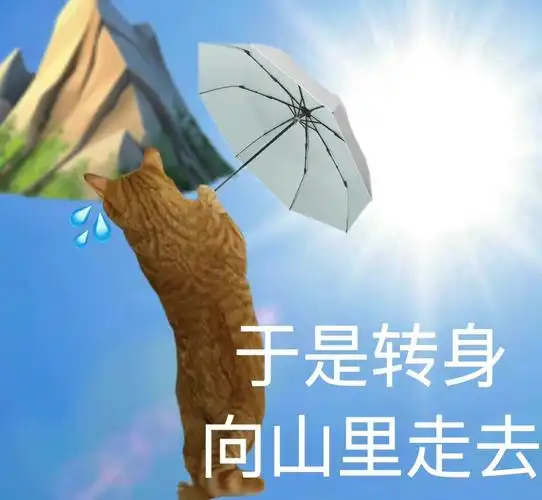 于是转身向山里走去 - 热死了表情包 好热好热表情包