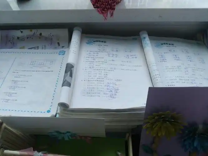 晒优秀作业,展学生风采————五年级作业展