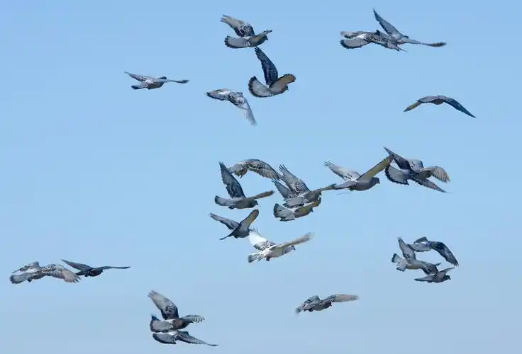 中国首位女航天员刘洋,结婚8年未生子,飞天前为丈夫留2条遗言