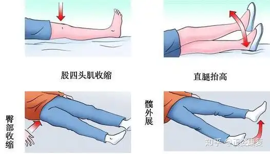 髋关节置换术后康复