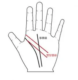 智慧线分叉 不同情况分叉图解 - 7丽女性网