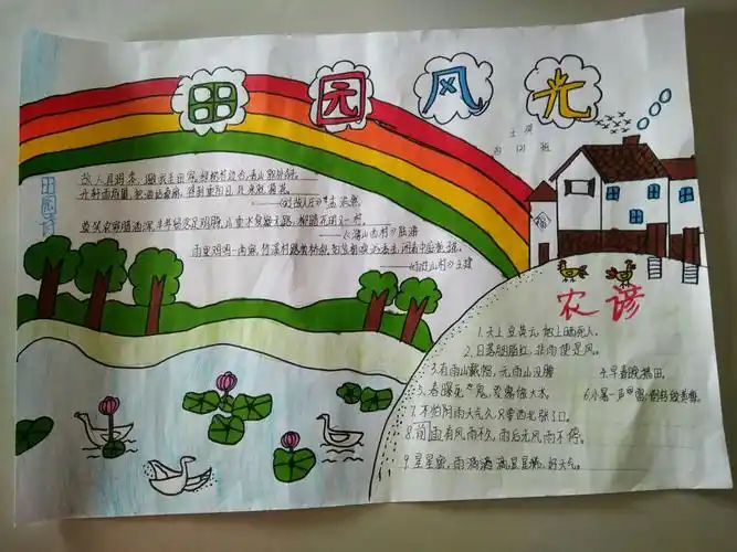 402班"走进田园,热爱乡村"主题手抄报评比