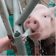 220_220gif 动态图 动图