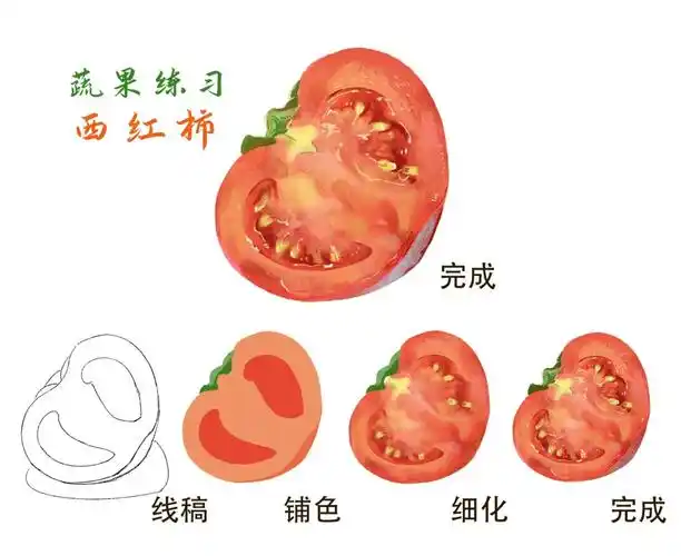 零基础学习插花今天来画个西红柿吧