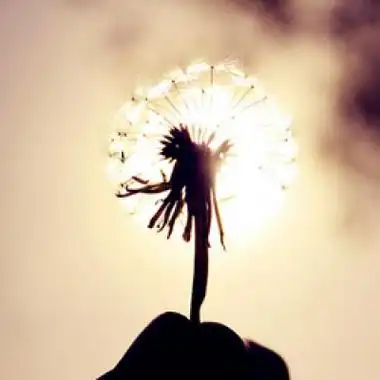 阳光照耀的静态头像