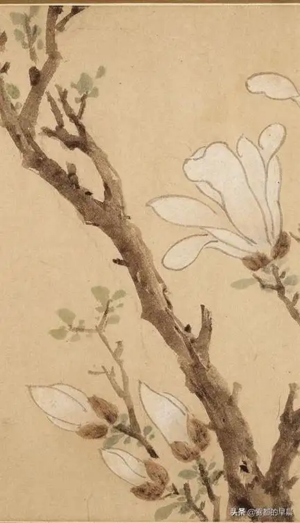 家中挂一幅文徵明《白玉兰》图卷,一定很美妙