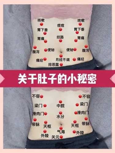 腹部穴位健康按摩减脂/关于小肚子的秘密