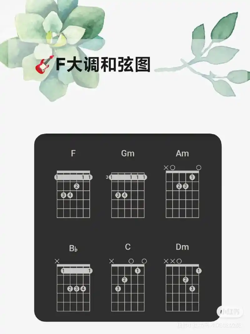 吉他f大调和弦及应用