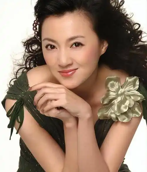 "小品公主"金玉婷:5登春晚火遍全国后,为何沦落至精神病院?