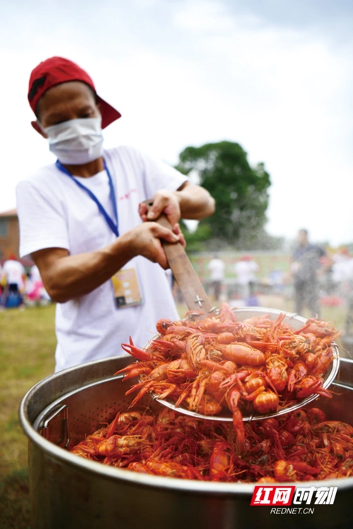 浏阳市龙伏镇首届小龙虾节"美味"开幕