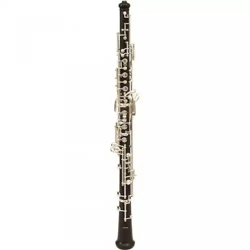 大号(亦称"低音号","低音大喇叭"或"土巴号"),是一种低音铜管乐器.