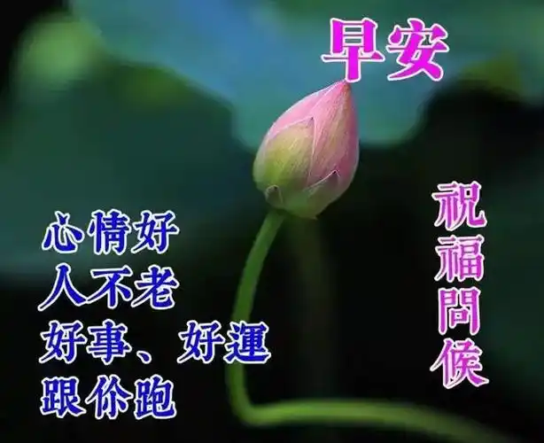 早上好新版早安祝福语短句微信早安问候表情文字图片