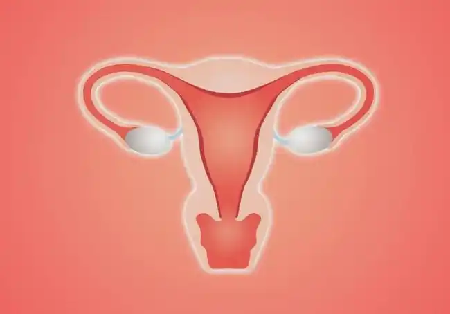 中医小课堂丨子宫内膜癌有什么信号和表现