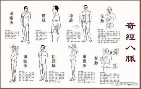 丁香医生被封禁,中医到底是不是伪科学,奇经八脉到底存不存在?