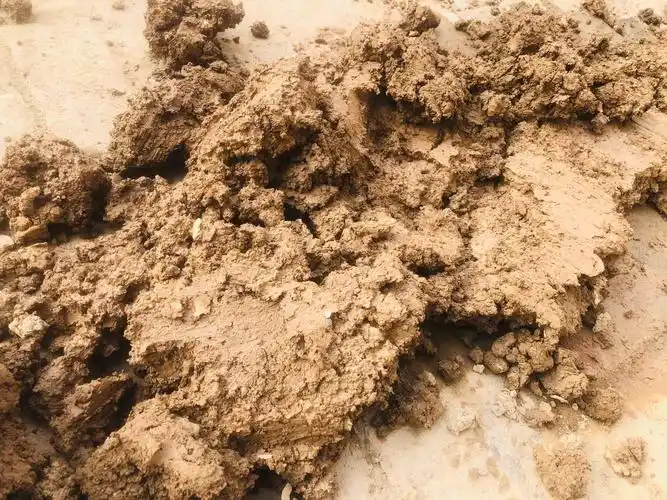 泥巴的奥秘