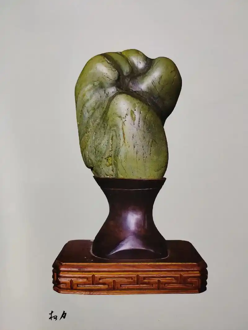 长江奇石美轮美奂……#美石分享 #奇石收藏 #艺术品  - 抖音