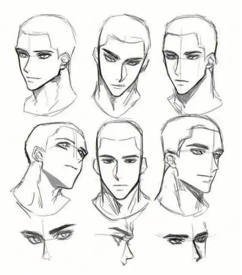 不同角度的头部画法