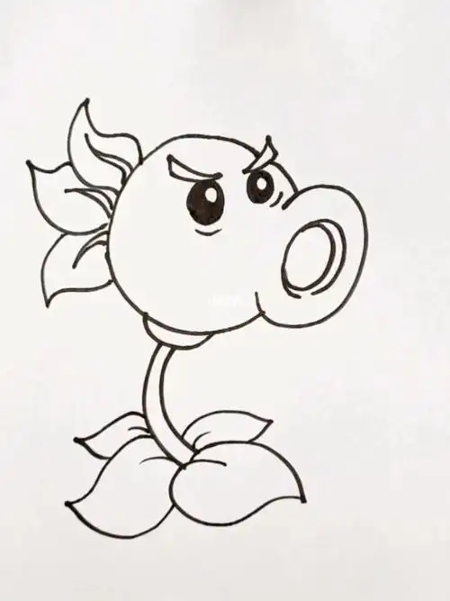 no20小画丨粉丝喜爱的豌豆射手