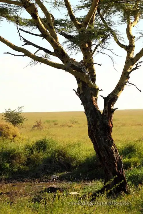 2010 肯尼亚/坦桑尼亚图记(3月13日更新mombasa) - 行行色色