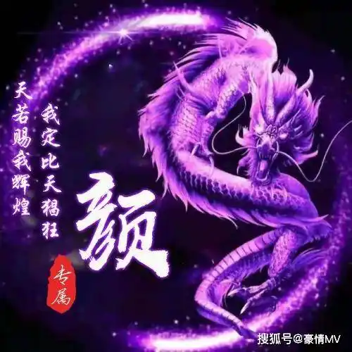 带龙的姓氏微信头像图片,非常漂亮的紫色龙加句子_整理_龙的_头像