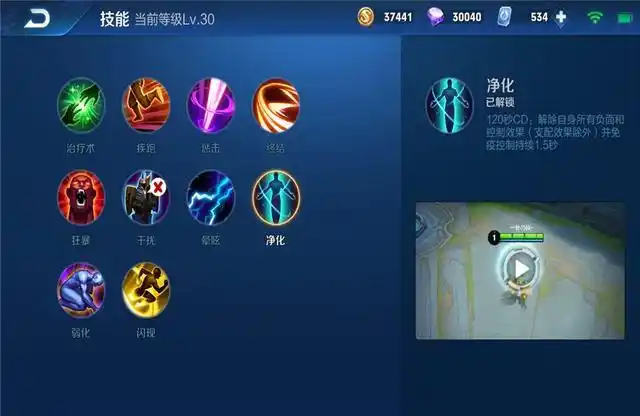 王者荣耀你真的会用净化技能吗一瞬间的无敌效果见过吗